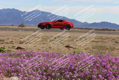 media/Jan-08-2023-SCCA SD (Sun) [[8f6a5b9391]]/Advanced Group/Session 2 (Short Straight)/